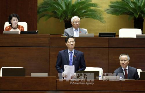 Quy định rõ trách nhiệm quản lý nhà nước về ngoại thương